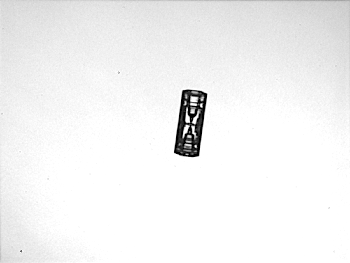 JaervinenEmma's tweet image. Look at this beauty imaged over northern Germany with the @KITKarlsruhe  PHIPS probe onboard the @DLR_de HALO aircraft. Fine example of stepped hollowness. #CIRRUSHL #RealIceCrystals #AirborneScience