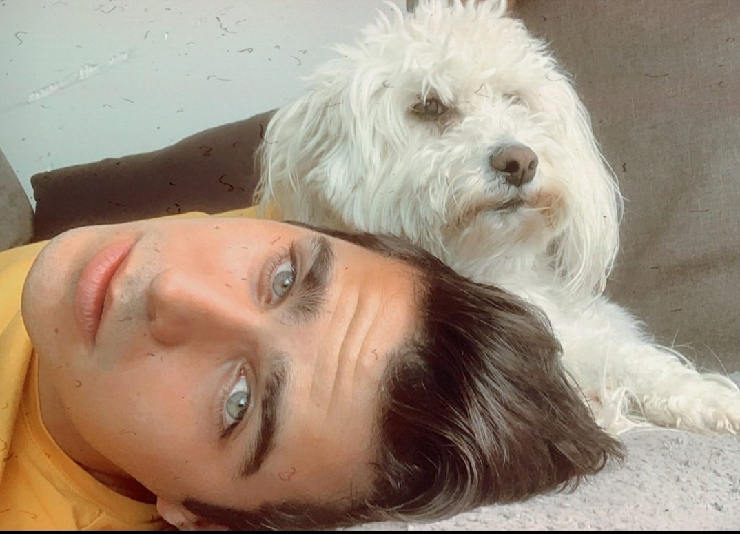 _m_Am21's tweet photo. Mauricio Abad with dogs appreciation🐶❤❤ @soymauricioabad 
"No sabemos nada realmente del amor si no queremos a los animales", Fred Wander. https://t.co/qaVw7x3HId