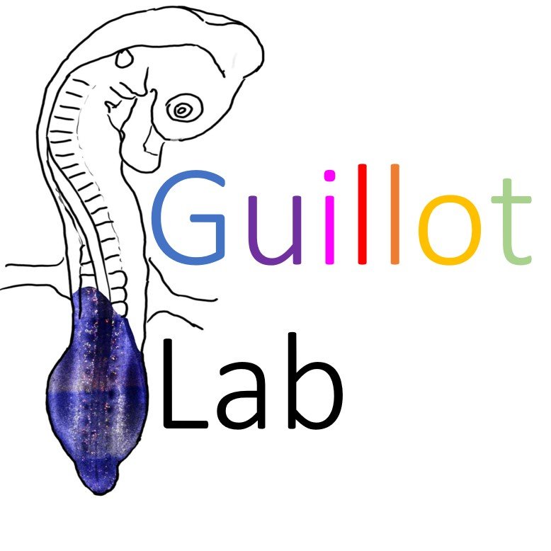 Charln_RGuillot's tweet image. I am delighted to announce that I am opening my lab at the GRED on September 1st, 2021. A special thank you to my mentors for their support, guidance, and determination throughout this journey. Positions at all levels are available. 👀👇 😁scholar.harvard.edu/charlene_guill…