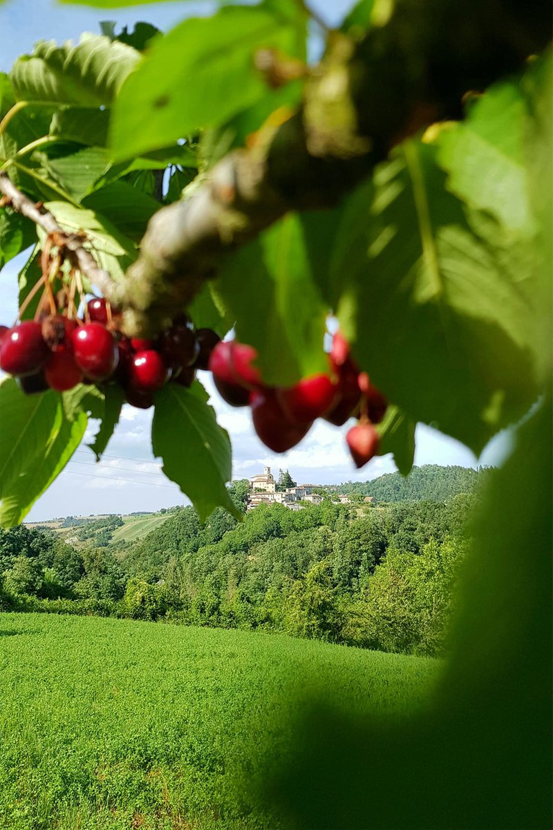 ModenaDintorni's tweet photo. Ci sono momenti in cui si fa veramente fatica a scegliere cosa guardare nel nostro territorio. Questo è uno di quei momenti!
🍒+ Borgo di #Montecorone di #Zocca = 😍
Ph Sara Corsi https://t.co/DGurW3bOwA
