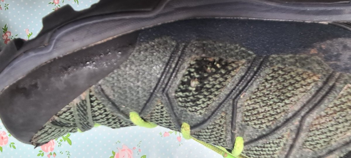 DGDImages tweet media