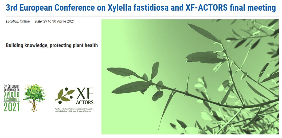 Xylella invasion: the full recording and material of the 3rd EU conference on #Xylellafastidiosa and #XF_ACTORS final meeting is now available open access: bit.ly/3qE4C0Q