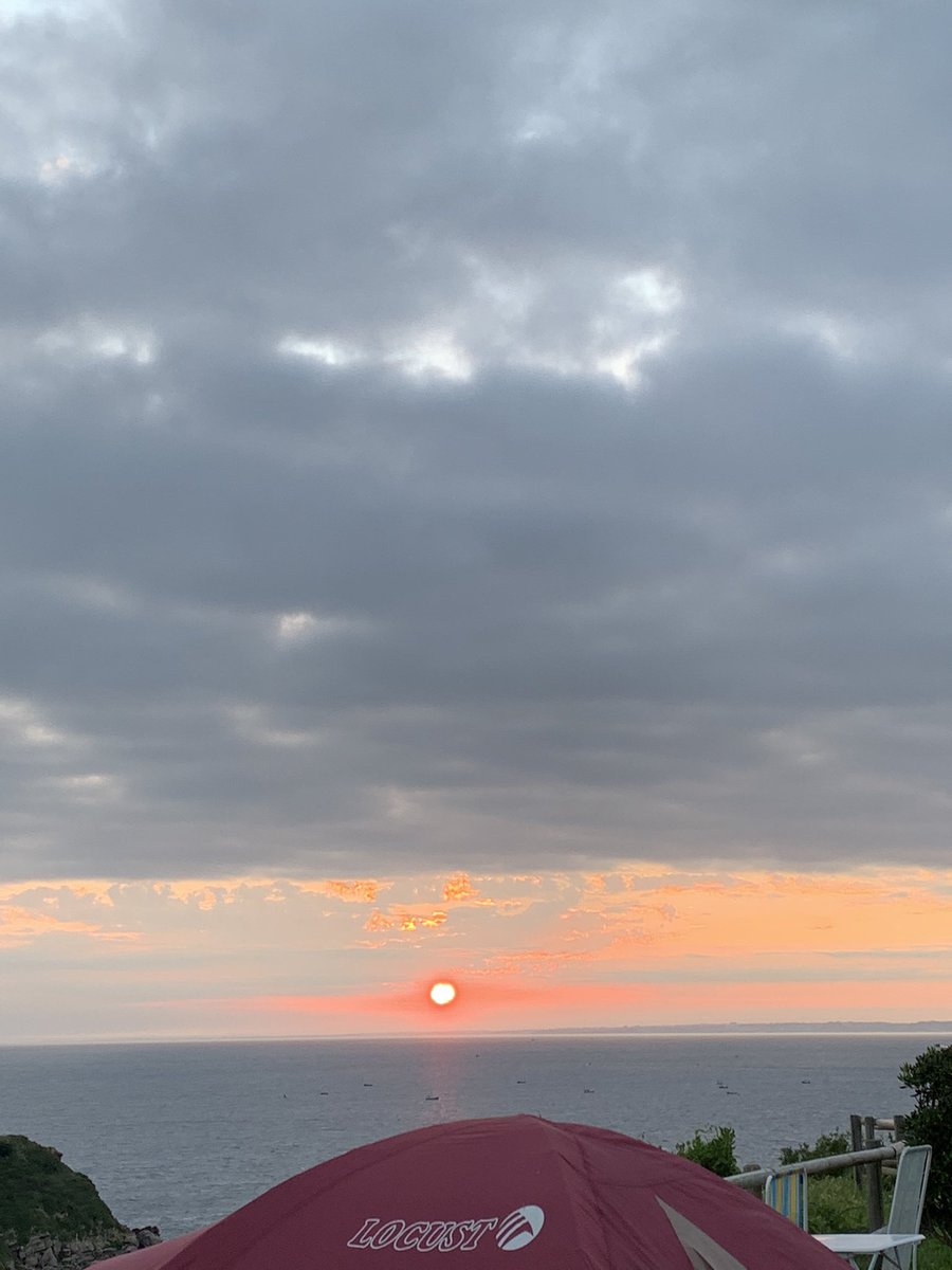 🫀pablo tweet media