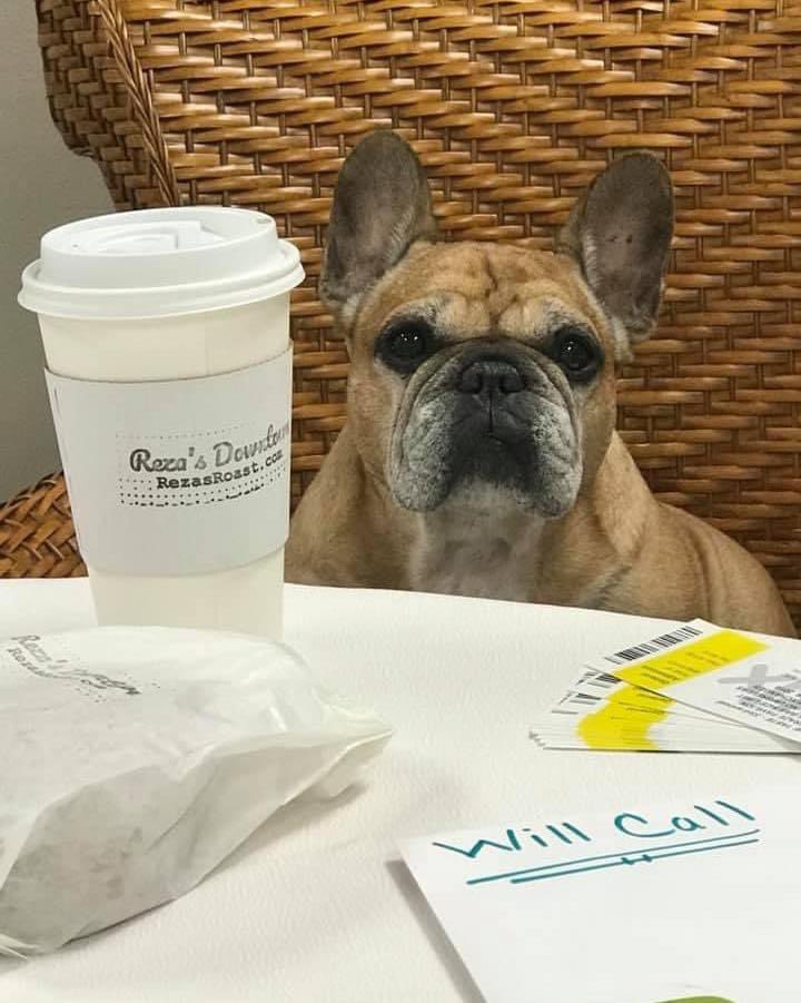 Taste planning session!  Have you purchased your tickets yet?! ❤️🐾

Purchase your taste tickets today at Fraze.com