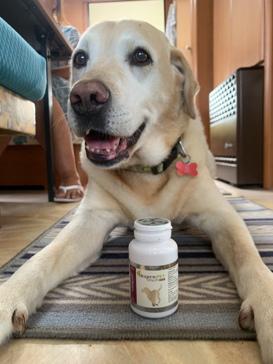 john stagliano (@michaeljohndewa) on Twitter photo 