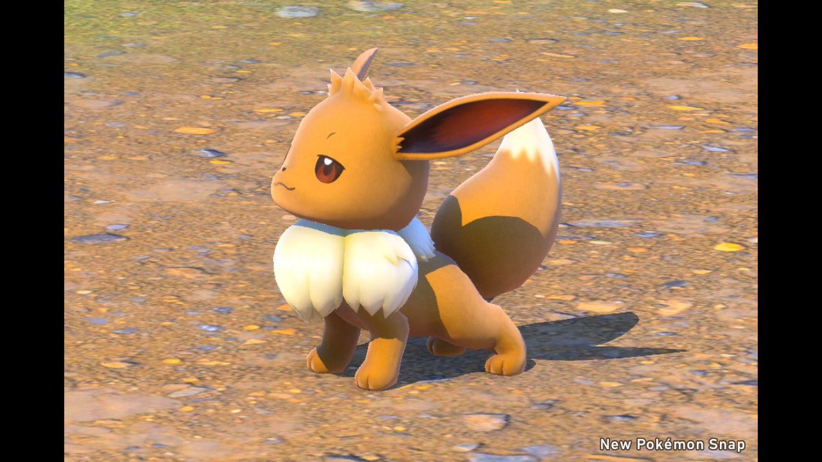 Chisa 半目コレクションもたまってたのでまとめときますね Newポケモンスナップ Newpokemonsnap