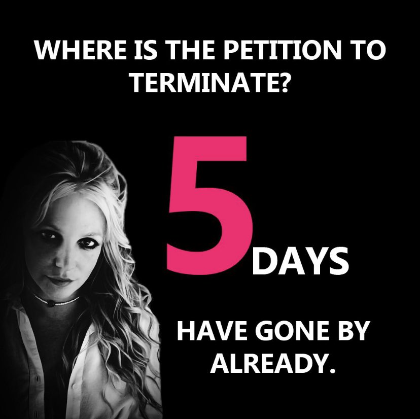 BritneyLawArmy tweet picture
