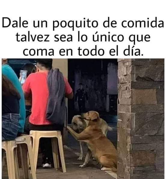 apache_perez's tweet image. 👏👏