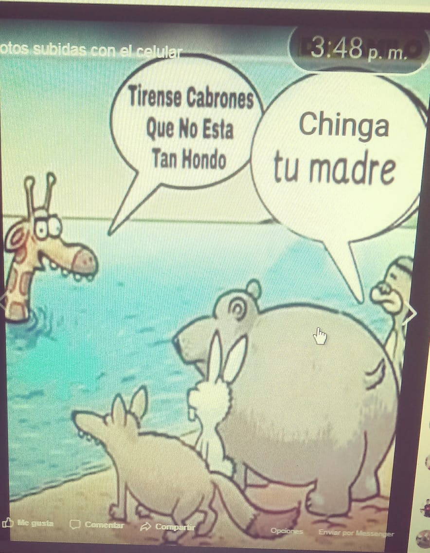 apache_perez's tweet image. 😂😂