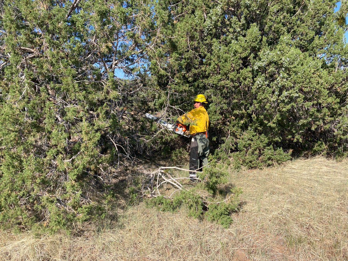 backbone_fire's tweet image. #Backbonefire2021 Morning Fire Update for June 28, 2021
inciweb.nwcg.gov/incident/artic…
U.S. Forest Service - Coconino National Forest