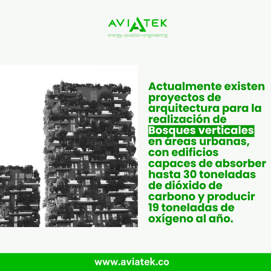 La naturaleza como columna vertebral de la arquitectura es una realidad en el mundo actual. Estas estructuras sostenibles aportan beneficios tanto a sus habitantes como al resto del planeta y son varios los proyectos arquitectónicos que se continúan sumando a esta tendencia.