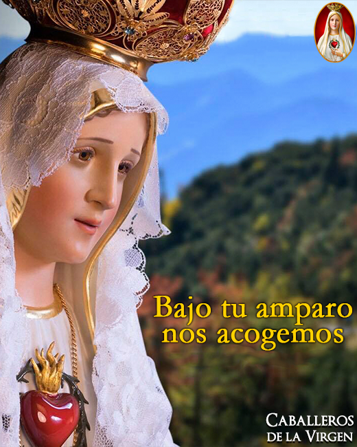 Caballeros de la Virgen on Twitter: 