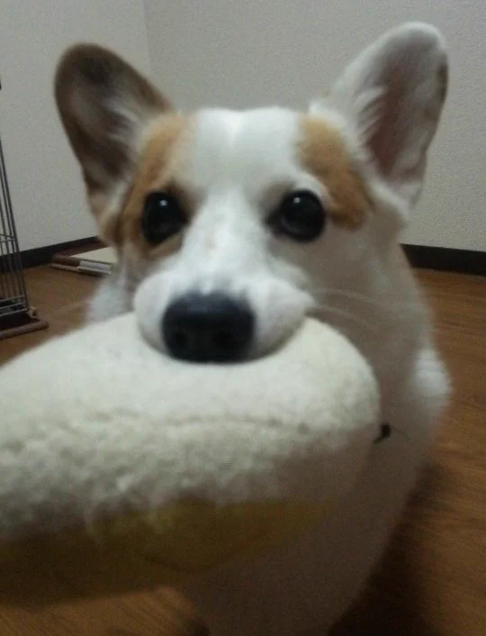 わかります…!  