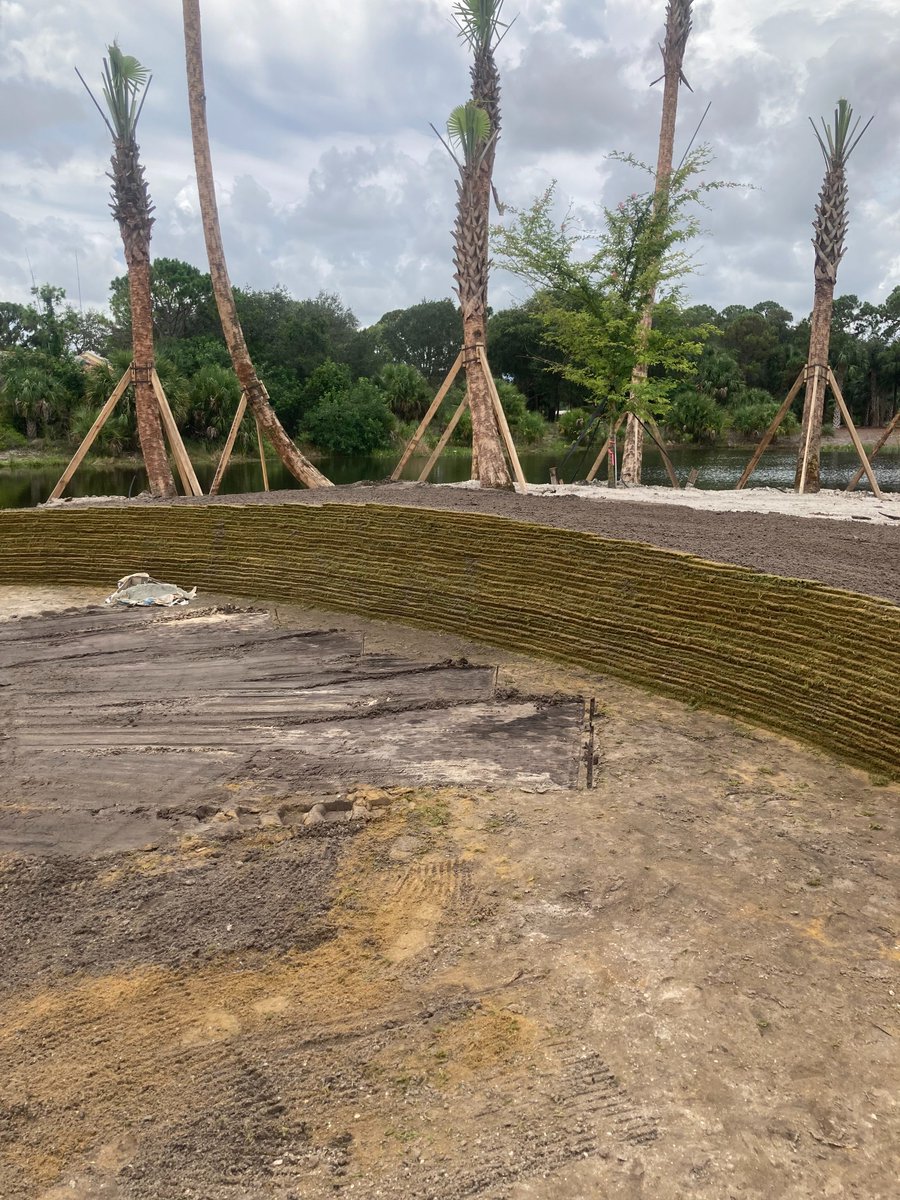 PermaEdgeBunker's tweet photo. Great use of PermaEdge in select bunkers and waste areas at @OldPalmGolfClub.  Work continues course wide with design from Harry Bower and work performed by Heritage Links.  More images once final dirt work and grassing are complete! https://t.co/BCmsxGQPa7