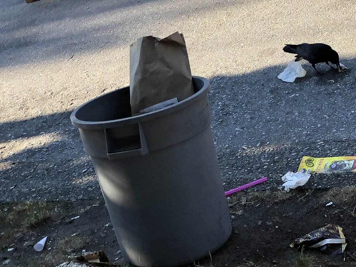 eastvanista's tweet photo. The #popupplazas at the end of my block on Grant St. at @Commerciald is an embarrassment. Where’s the garbage/recycling/compost station? water station? Proper shade? Washrooms? Or aesthetic style? I’m all for public spaces but a few picnic tables on hot asphalt doesn’t cut it. https://t.co/TTZhN0OILa