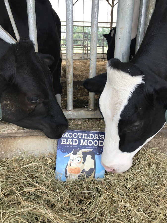 CoreyPBNinja's tweet photo. Good mood giveaway: RT to enter to win a copy of MOOTILDA'S BAD MOOD (Spoiler: She winds up in a great mood!)  Tag a friend for an extra entry. Ends 7/1. (US only) https://t.co/n0kscCNB7X