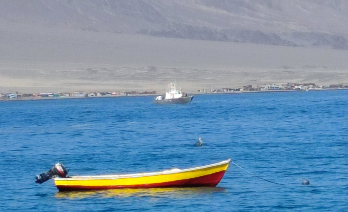 CAPITANÍA DE PUERTO DE ANTOFAGASTA tweet media
