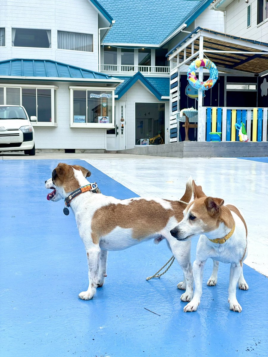 恋はdeepに ロケ地 撮影秘話 最新情報まとめ みんなの評価 レビューが見れる ナウティスモーション