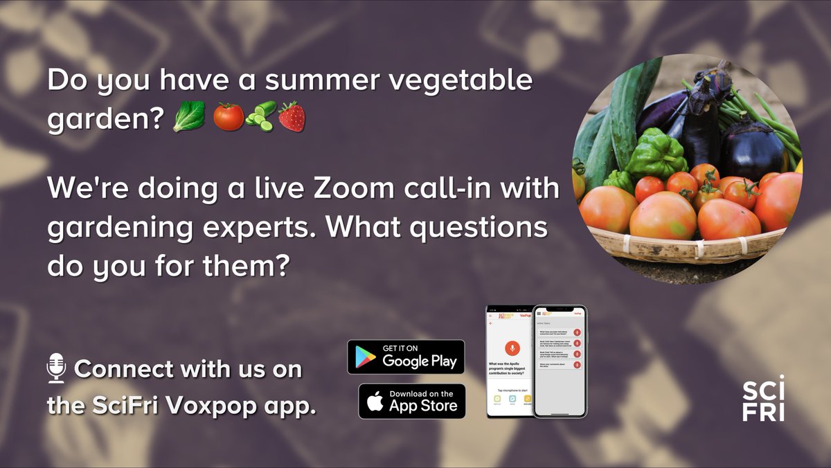 scifri's tweet photo. Do you have a summer vegetable garden? Are you interested in starting one?

We're doing a live Zoom recording about the science of gardening tomorrow (Tue, Jun 29). Share any questions you have on the SciFri Voxpop app or join us for the Zoom!

RSVP: https://t.co/VdTkvmpa2i https://t.co/jMFXrF8WVD