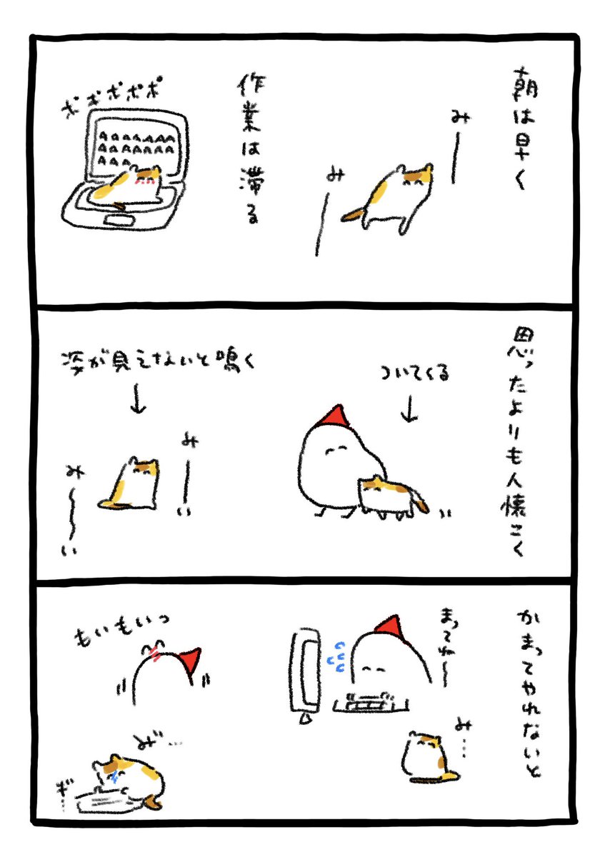 猫のもいもい 