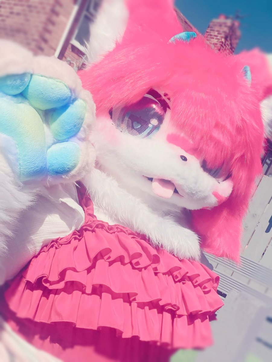 Satokochii's tweet photo. i want to thank @TIO_FACTORY for doing such a good job on satoko’s head!! (ignore my badly edited paw xD, i need to make her new blue ones!) i love her soso much and i can’t wait to wear her to conventions!🎀🍓
#kemono #furry #kemonofursuit #fursuit https://t.co/MZ12OZZcJ6