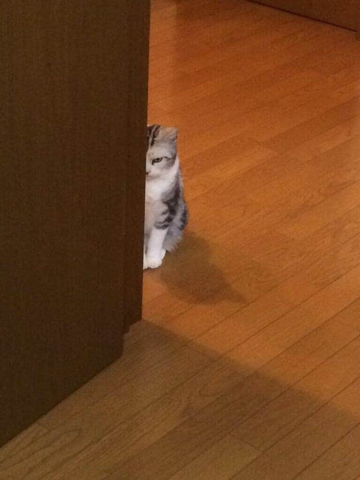 unknownxjimin's tweet photo. @Paperchxzz https://t.co/OJOc3th5mV