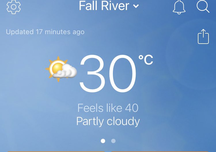 Melinda Lee tweet media