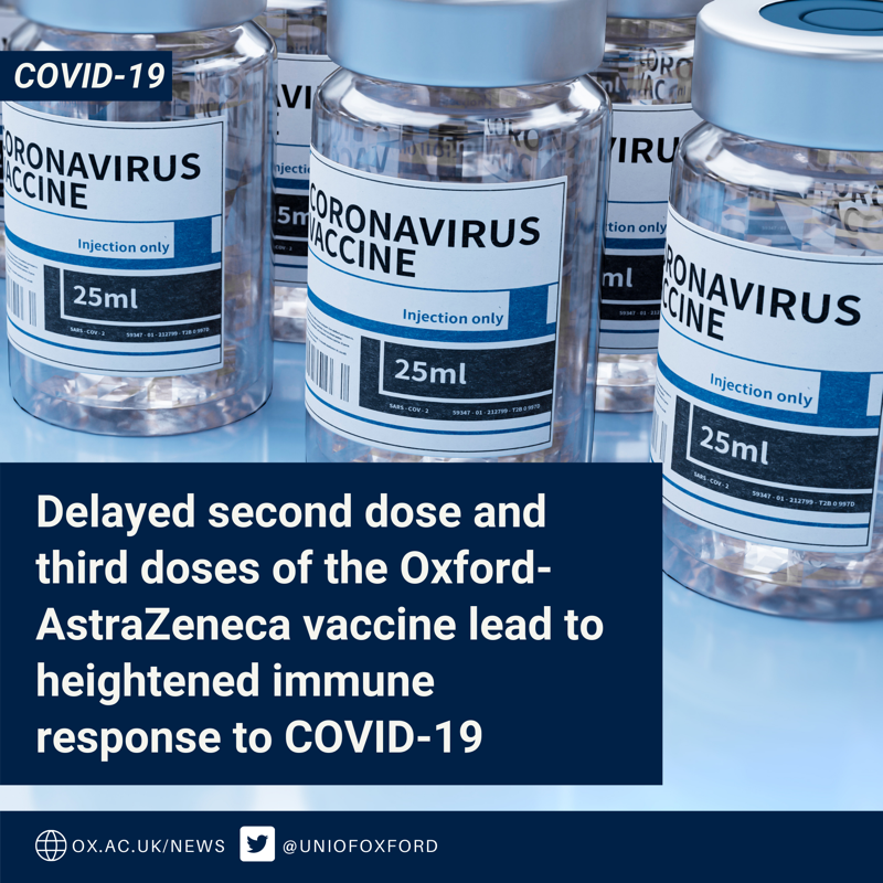 UniofOxford's tweet photo. New #OxfordVaccine research indicates that a long interval between first and second doses does not compromise the immune response after a late second dose.

Additionally, a third dose of the vaccine continues to boost antibodies against #COVID19.

Read more ⬇️