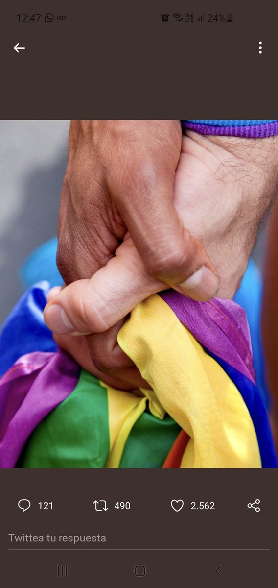 #DiaInternacionalDelOrgulloLGBT+