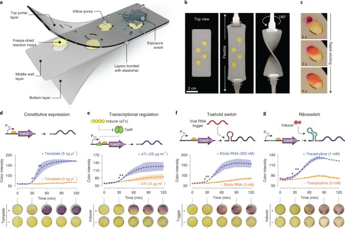Wearable materials with embedded synthetic biology sensors for biomolecule detection go.nature.com/3y24Wc5