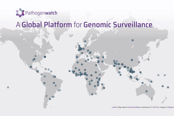 PreventTyphoid's tweet photo. Trying to track the emergence and spread of drug-resistant typhoid? There's an app for that! Users can explore genomes to better understand the global dissemination of drug resistance. #TakeOnTyphoid #StopSuperbugs #StopDrugResistance

https://t.co/cP9LLzQgla https://t.co/eKuNLmhizO