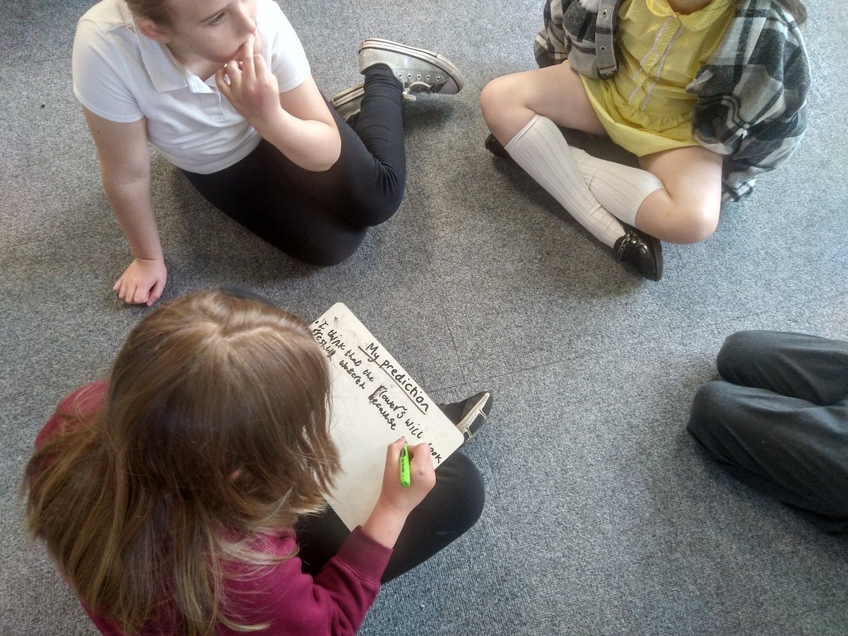 SixBellsY3Y4's tweet photo. Making predictions! Can different liquids affect how well flowers grow?? https://t.co/88GXw4an06