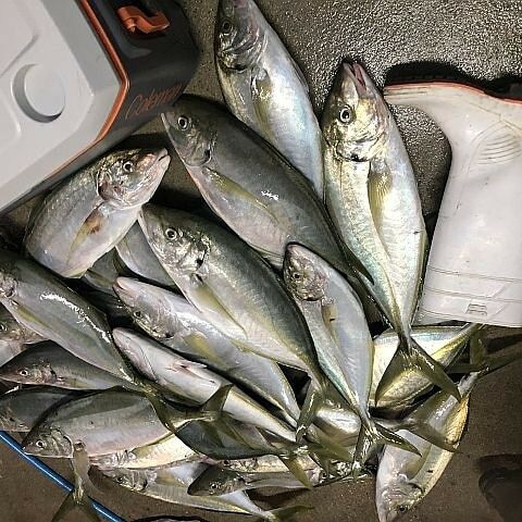 自作仕掛け 自作仕掛け