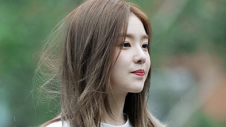 picsofirene's tweet photo. my baby https://t.co/jdGlUiwHua