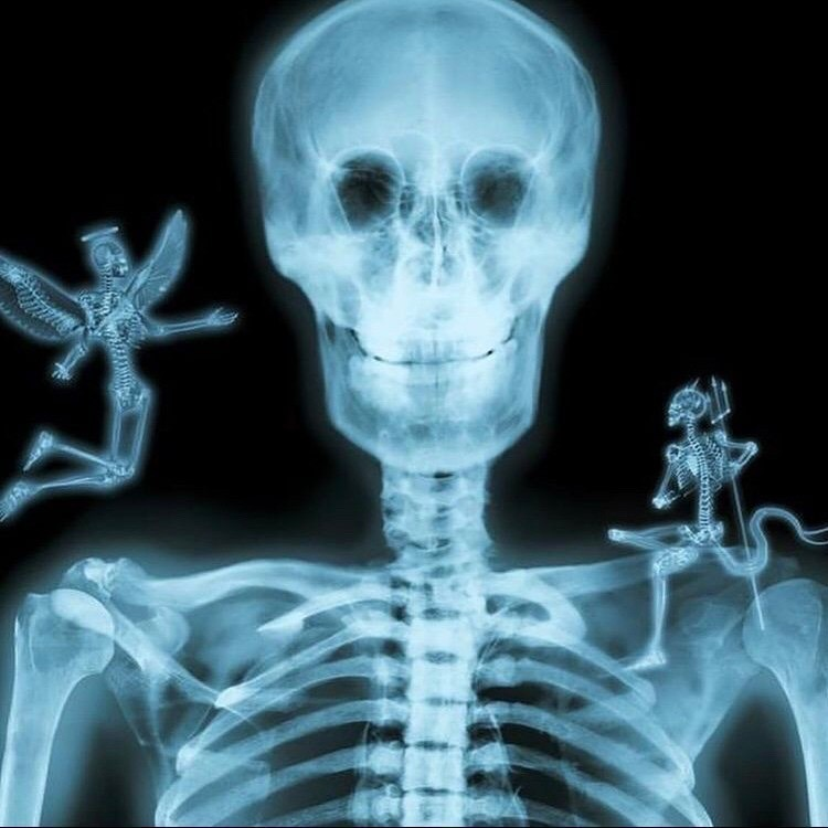 ARTIFAXING (@pedestrian) on Twitter photo 