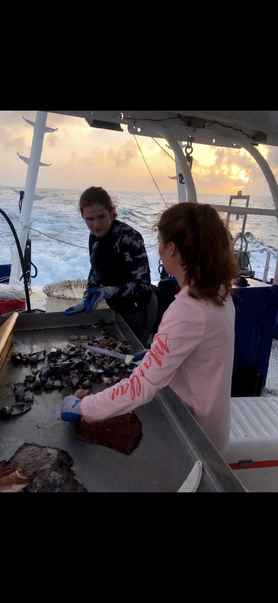 Em Foster tweet media