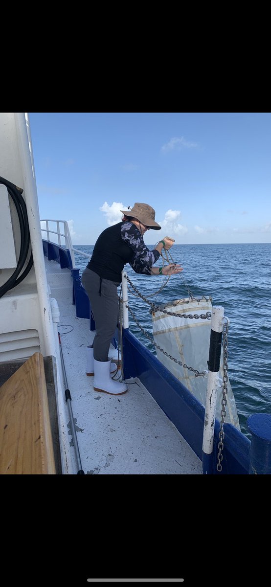 Em Foster tweet media