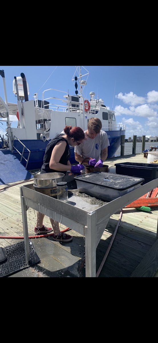 Em Foster tweet media