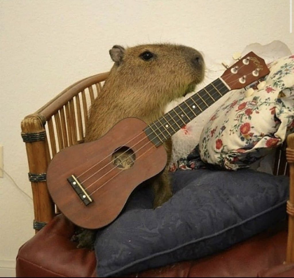 CAPYBARA_MAN's tweet photo. name a better band https://t.co/BTIZNgUYSx