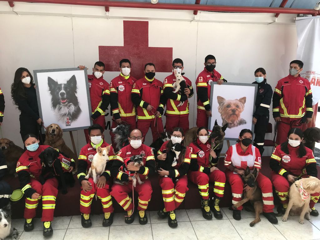 CruzRoja_MX's tweet photo. Con un minuto de aplausos👏recordamos a #Athos y #Thango en una ceremonia de agradecimiento y despedida en el marco del #DíaDelSocorrista.⛑️
Contamos con 12 binomios caninos entrenados para la búsqueda y rescate de personas en estructuras colapsadas en 6 estados. 🐕🦺 https://t.co/dTbMBtKgZ7