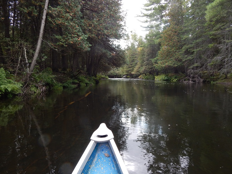 ChunkletsHockey's tweet photo. On #NationalCanoeDay, asking the eternal question: what's around the next bend? A little #CanoeView from a pleasant day on Eels Creek last summer. @CndnCanoeMuseum https://t.co/f16lWzCGft