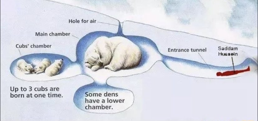 DeviantPigg tweet media