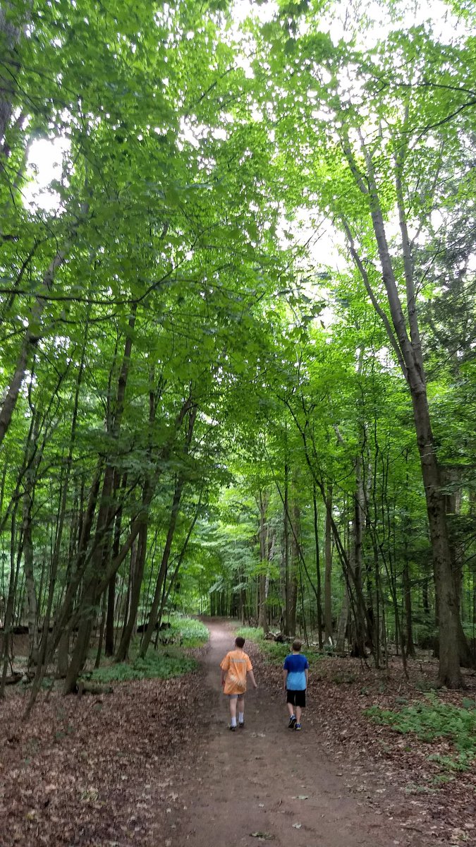 durrjim's tweet photo. Day 6: A gentle drizzle is no match for my kids' lukewarm enthusiasm for geocaching! 4 more down at Selkirk Shores State Park. #nystateparks #geocaching https://t.co/kExxJ0c3AT
