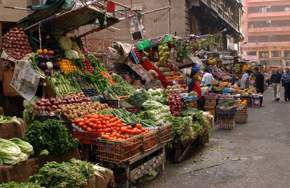 Cities and local governments can play a vital role in #FoodSystems transformation – and #UNFSS2021 is a key opportunity for recognising their potential.

📸  <a href="/FAO/">Food and Agriculture Organization</a> 

Find out more via <a href="/FAO/">Food and Agriculture Organization</a> ▶️ bit.ly/3j52TzP