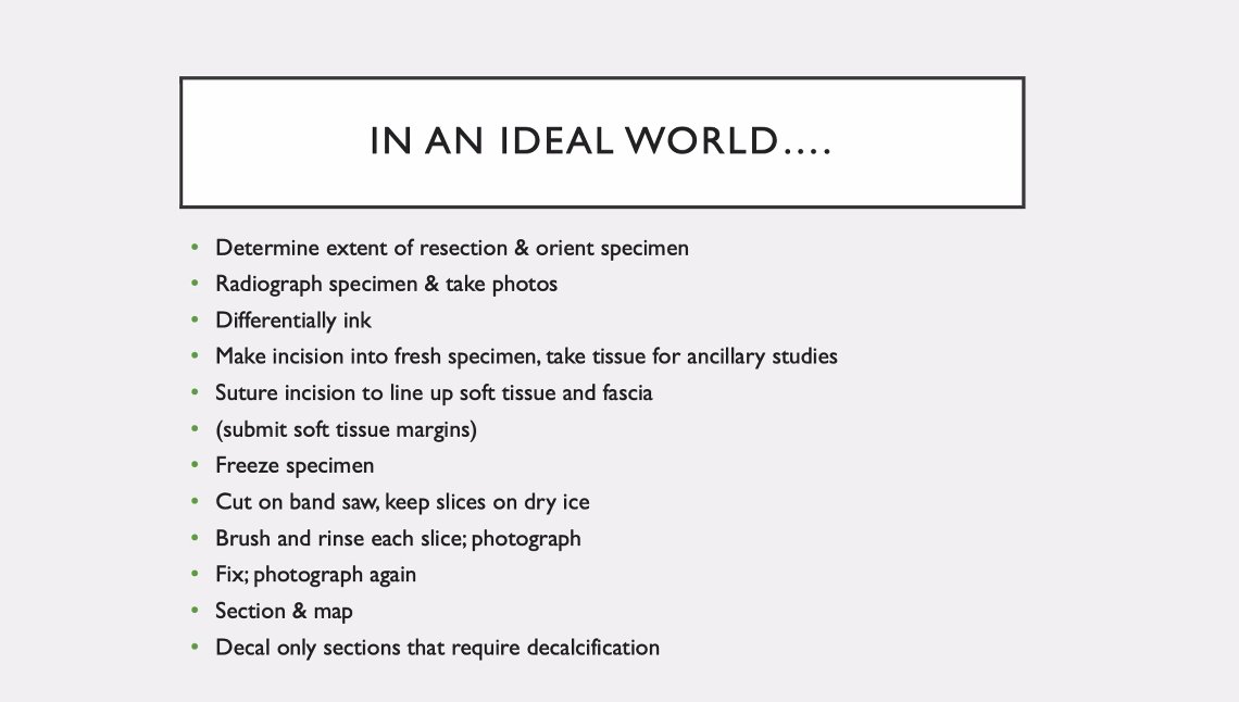 Emmanuelle Chung tweet media