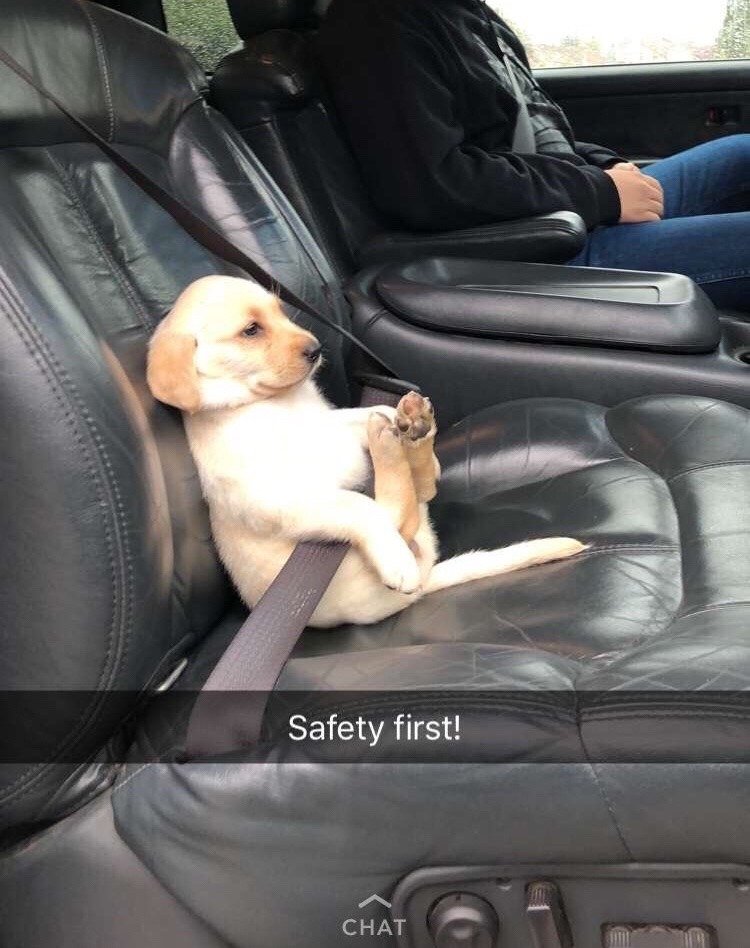 ARTIFAXING (@pedestrian) on Twitter photo 