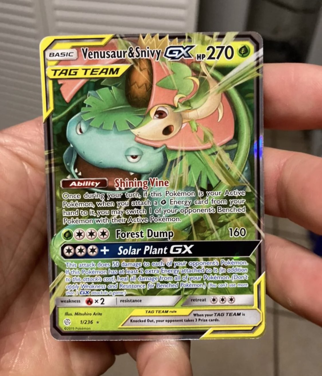 Pokemon Card of The Day on Twitter: "The Pokémon Card of the Day is the  Venusaur &amp; Snivy GX! https://t.co/bZCi3biB3A" / Twitter