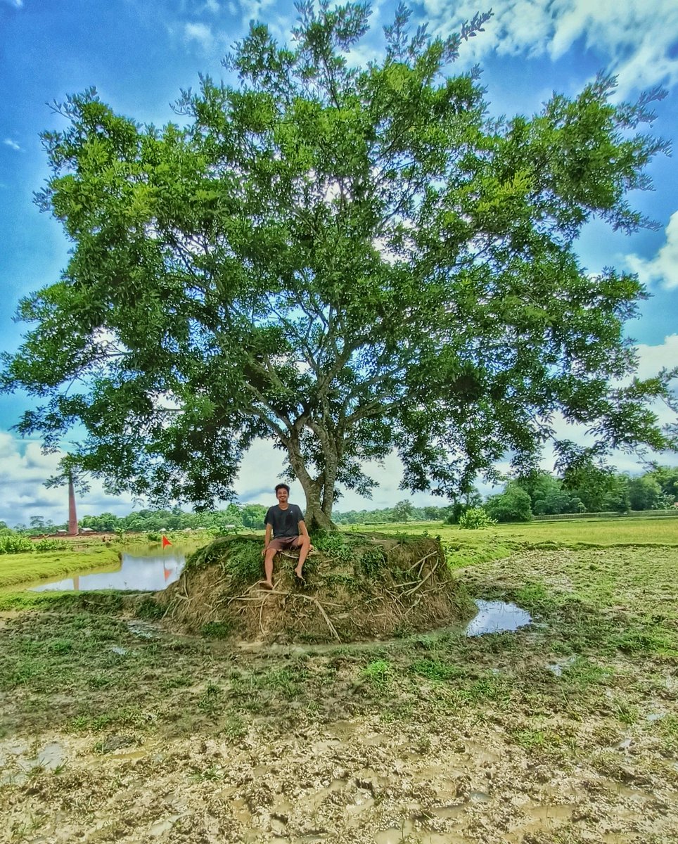 kaushikk_phukan's tweet photo. #SaveTree 
#SaveEarth https://t.co/5tqW2kCDBg