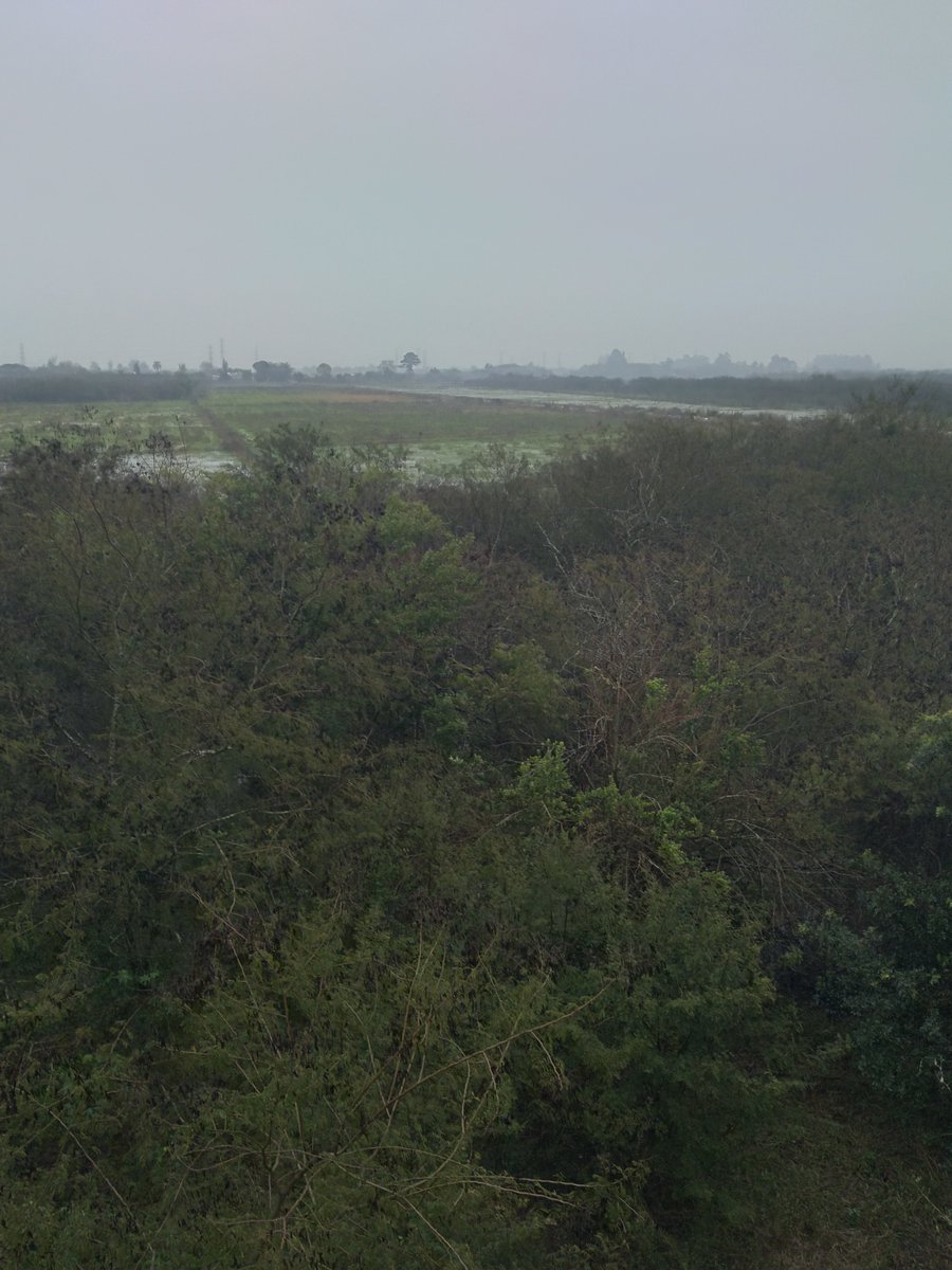 FlaviacFlavia's tweet photo. @fala_brasil #@fala_brasil 
Dia de frio e chuva direto de Canoas/RS https://t.co/HD8f0ixGmh
