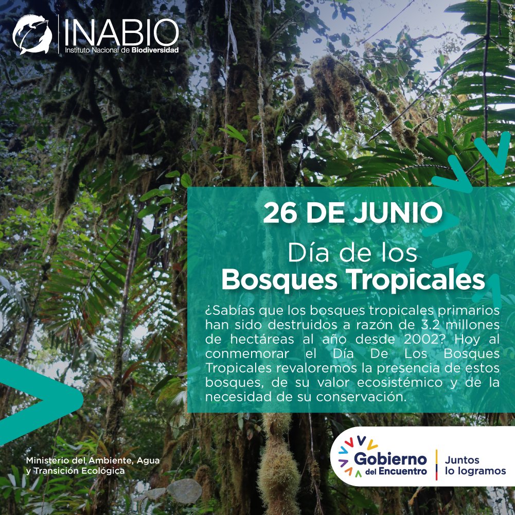 📌#26junio | Día Internacional de la Preservación de los  #BosquesTropicales. De los ecosistemas de la Tierra, son los que albergan  la mayor variedad de especies de plantas🌱🌿y animales🐭🦋🐦 ¡Cuidemos este  espacio fundamental, image size:1001x1001